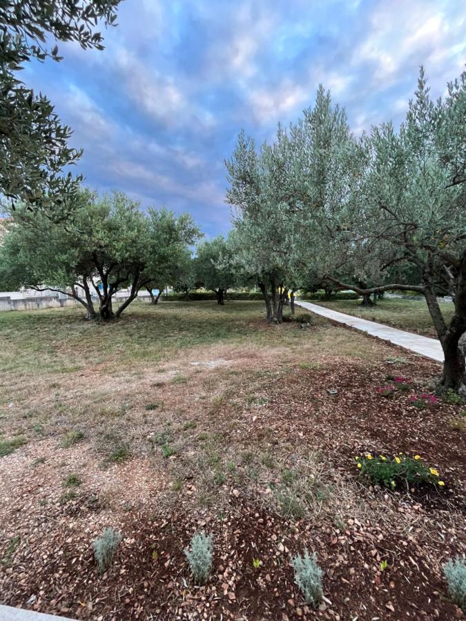 Apartman Oliva Ζαντάρ Εξωτερικό φωτογραφία