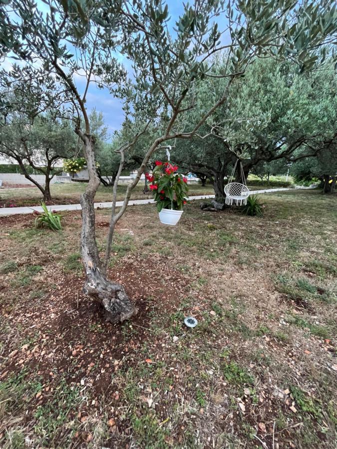 Apartman Oliva Ζαντάρ Εξωτερικό φωτογραφία